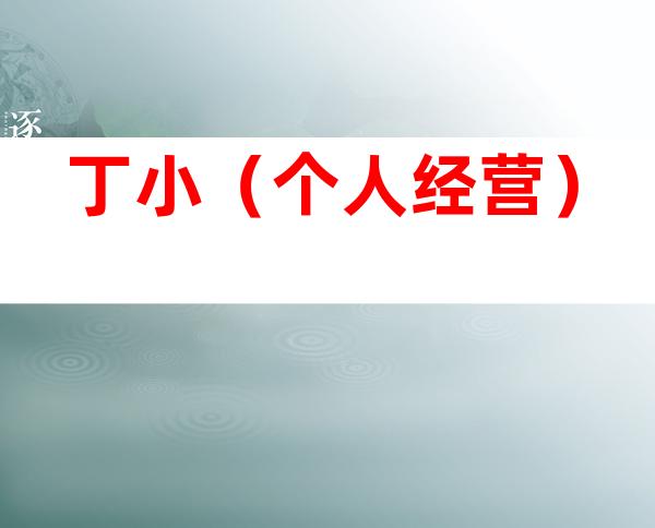 丁小（个人经营）