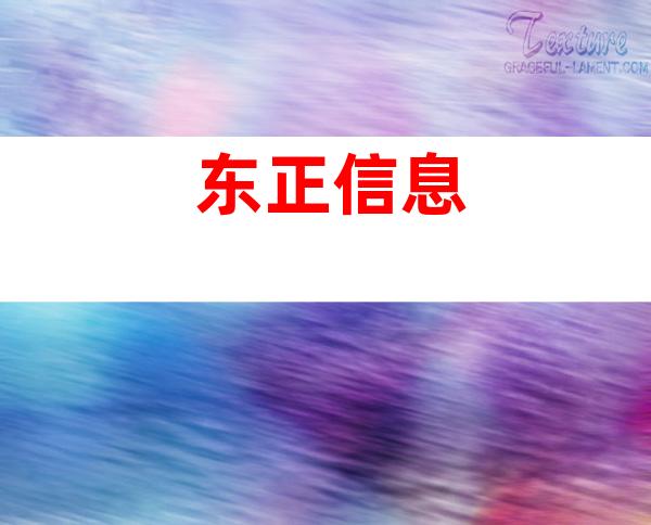 东正信息