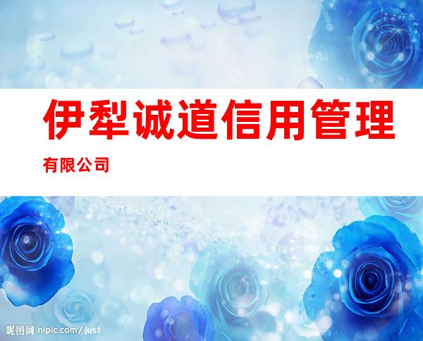 伊犁诚道信用管理有限公司