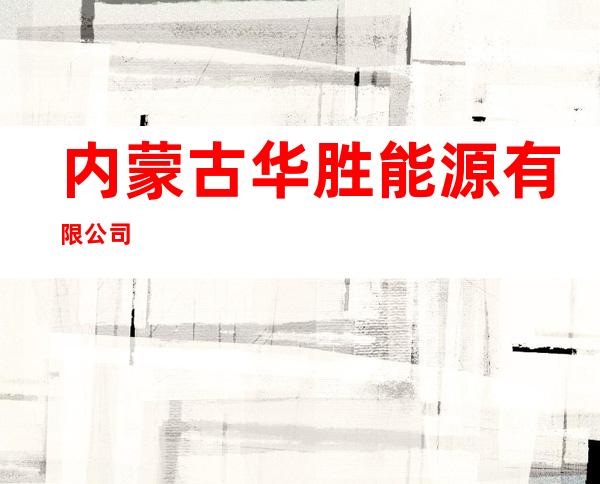 内蒙古华胜能源有限公司