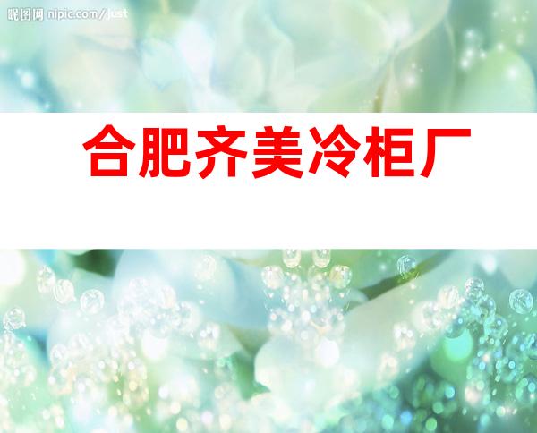 合肥齐美冷柜厂