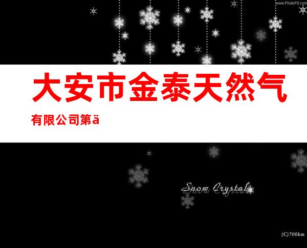 大安市金泰天然气有限公司第一分公司