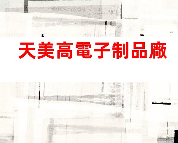 天美高電子制品廠