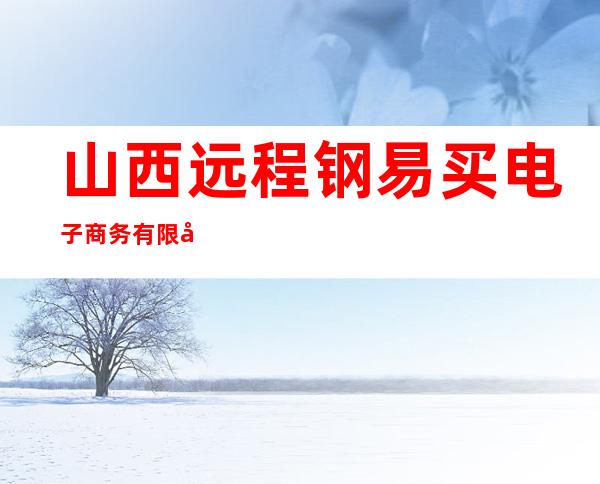 山西远程钢易买电子商务有限公司