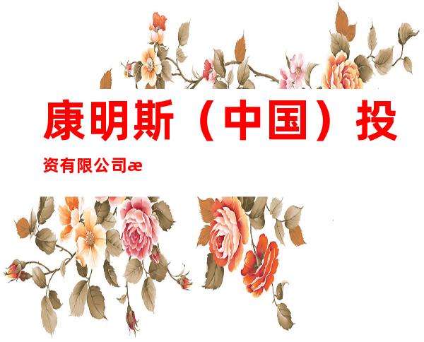 康明斯（中国）投资有限公司成都分公司