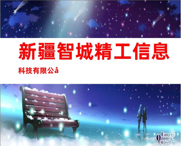 新疆智城精工信息科技有限公司