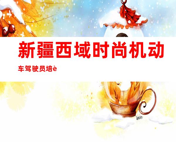 新疆西域时尚机动车驾驶员培训学校有限公司