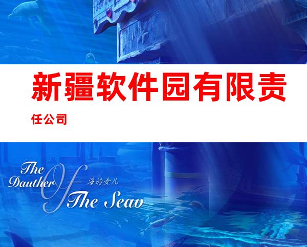 新疆软件园有限责任公司