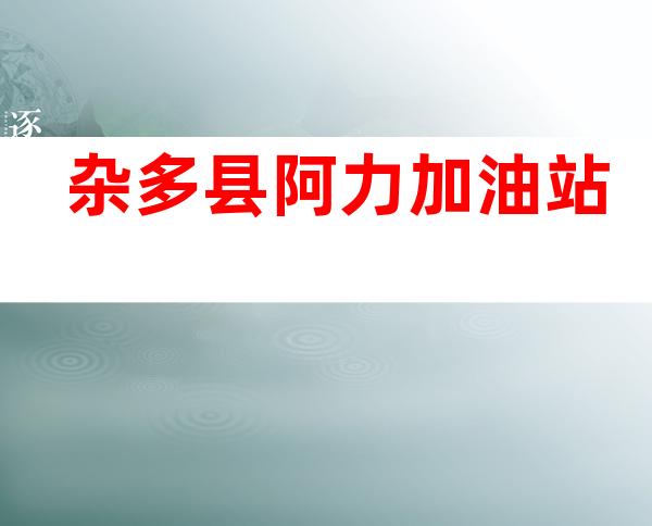 杂多县阿力加油站