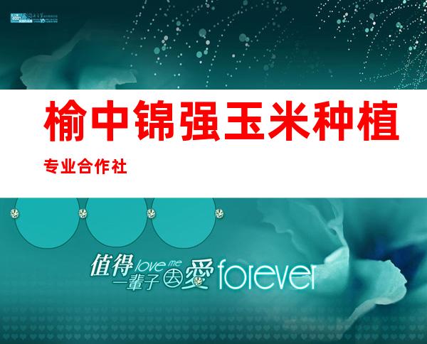 榆中锦强玉米种植专业合作社