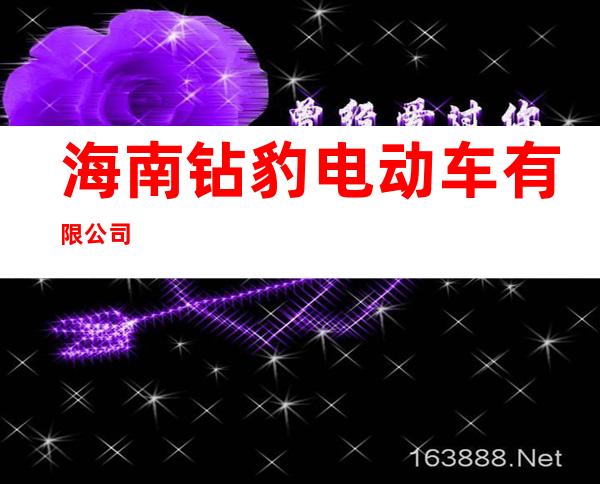 海南钻豹电动车有限公司