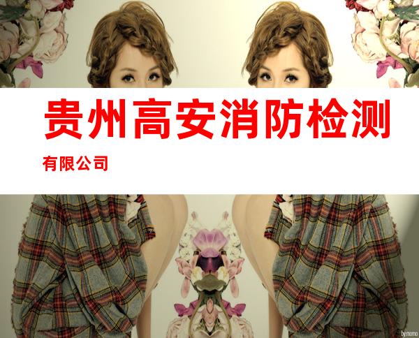 贵州高安消防检测有限公司
