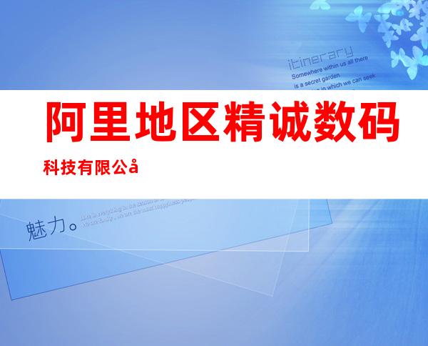 阿里地区精诚数码科技有限公司