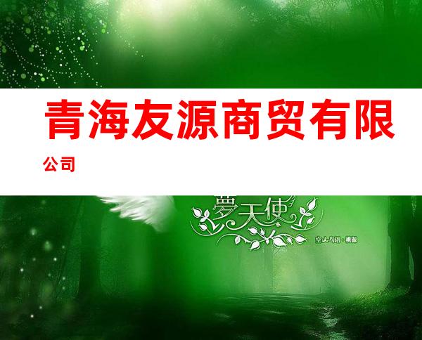 青海友源商贸有限公司